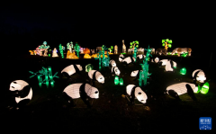 <font color='#0000FF'>熊猫乐园彩灯亮相加拿大尼亚加拉瀑布城</font>